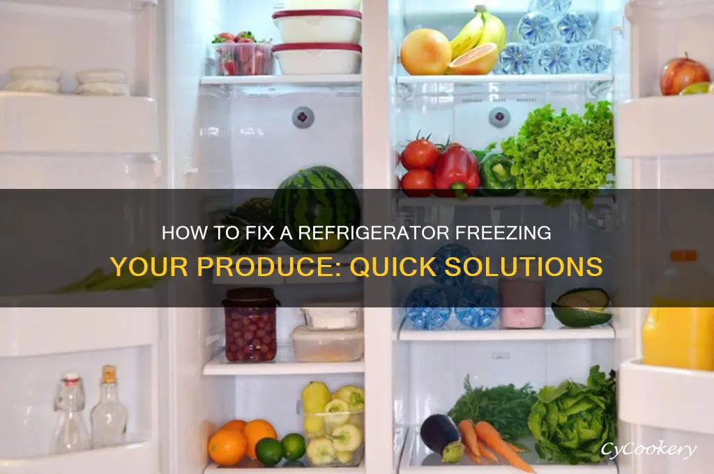 can you fix a refrigerator that is freezing produce