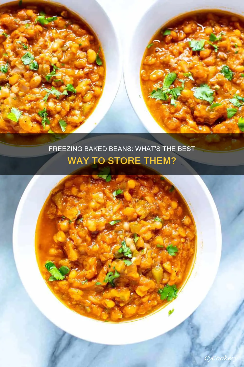 can you freeze a baking pan of baked beans
