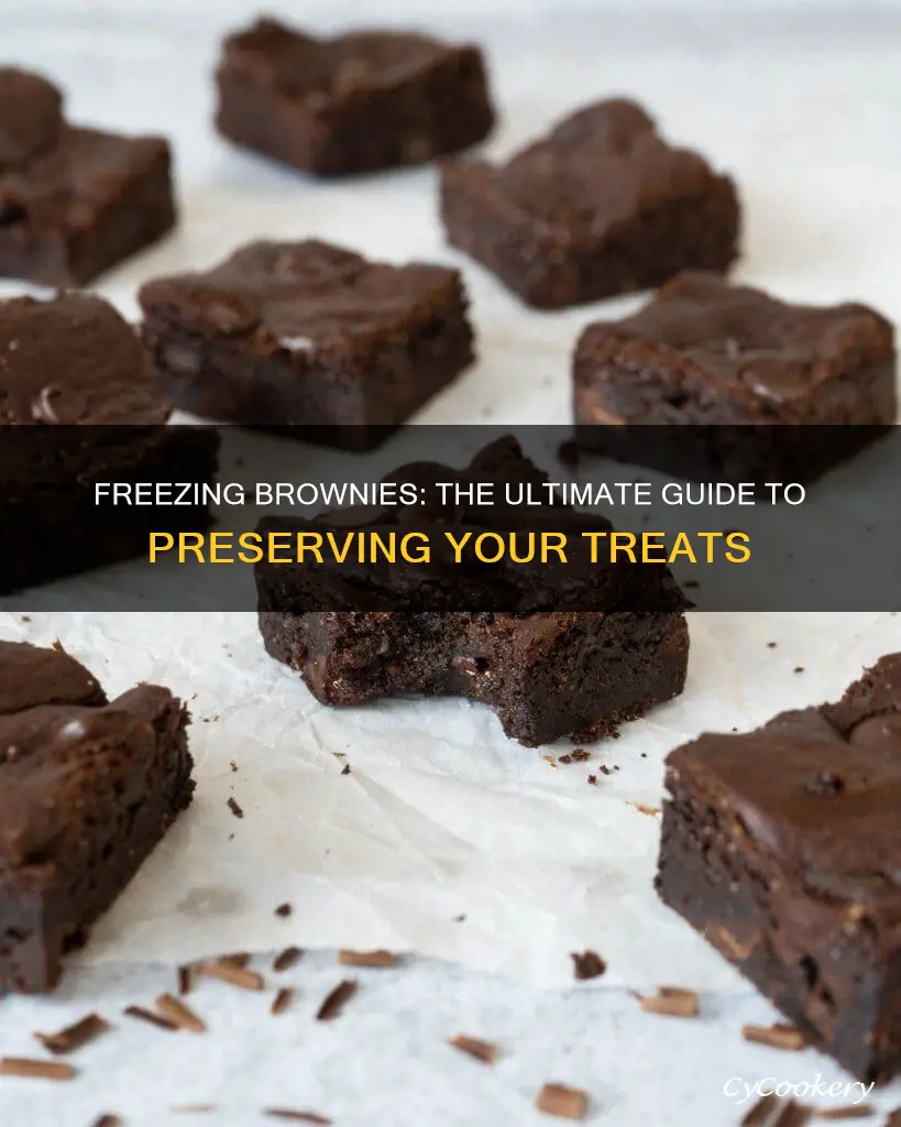 can you freeze a pan of brownines