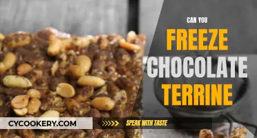 Freezing Chocolate Terrine: Is It Possible?