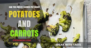 How to Freeze Cooked Pot Roast with Veggies?