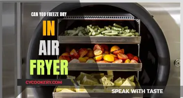 Freeze-Drying with an Air Fryer: Is It Possible?