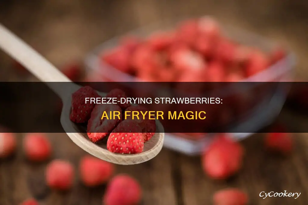 can you freeze dry strawberries in an air fryer