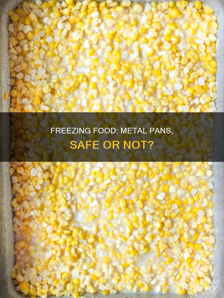can you freeze food in a metal pan