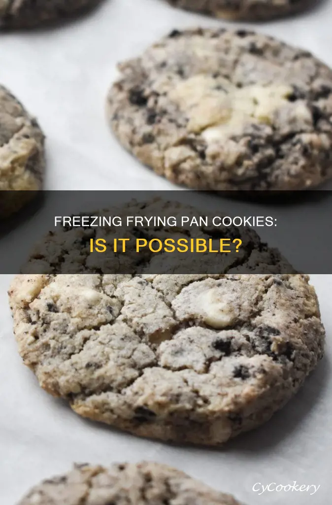 can you freeze frying pan cookies