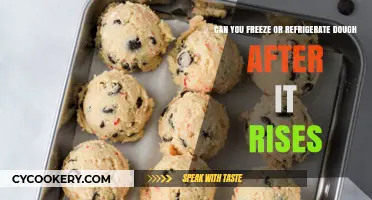 Freezing or Refrigerating Dough After Rising: Best Practices Explained