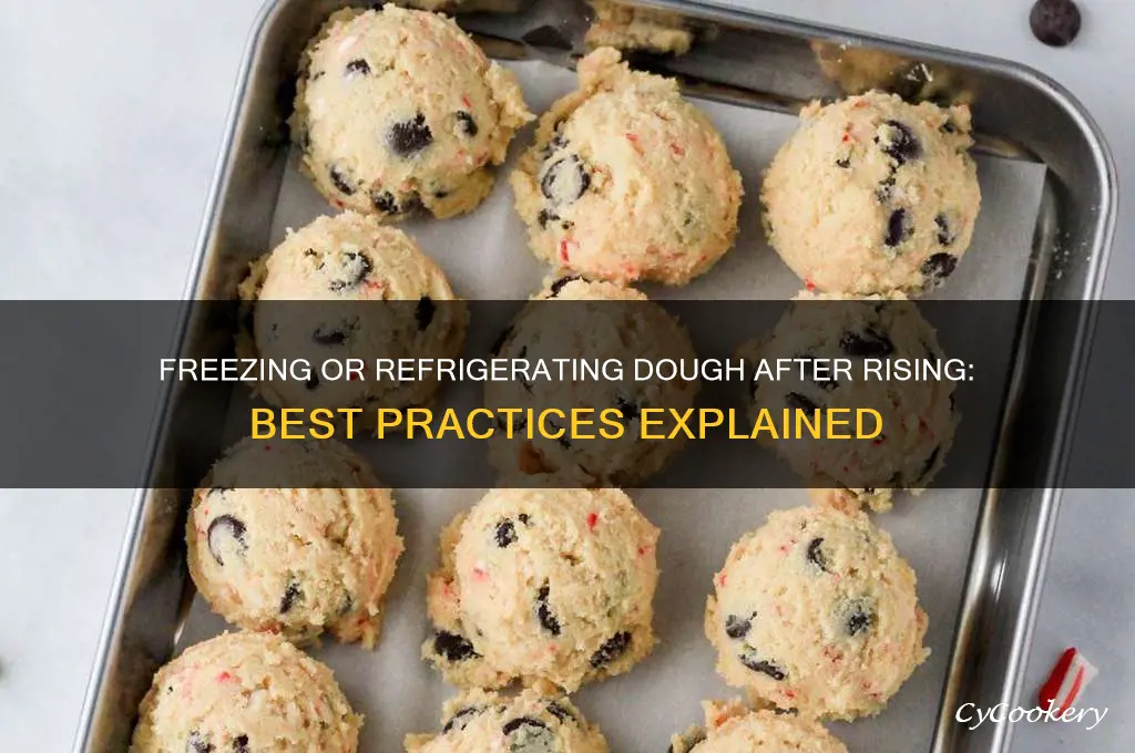 can you freeze or refrigerate dough after it rises