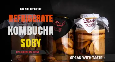 Can You Freeze or Refrigerate Kombucha? Storage Tips Revealed