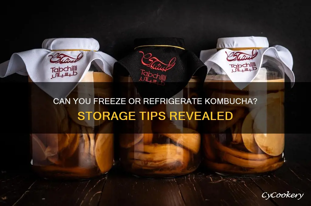 can you freeze or refrigerate kombucha soby