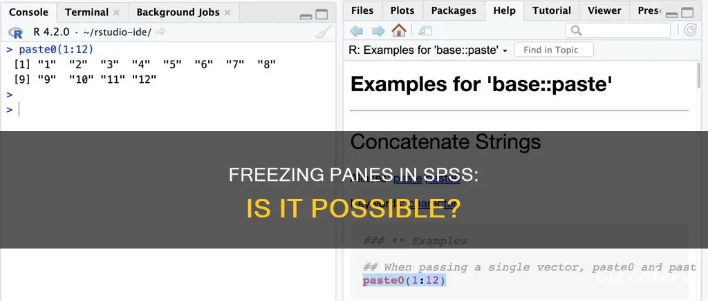 can you freeze panes in spss
