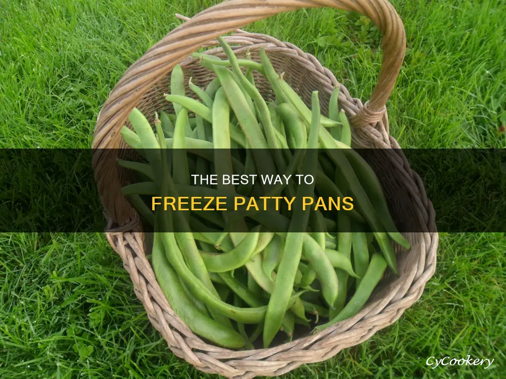 can you freeze patty pans