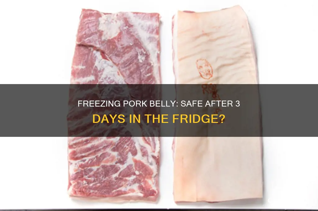 can you freeze pork belly after 3 days in refrigerator