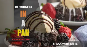 Freezing Sex in a Pan: Is It Possible?