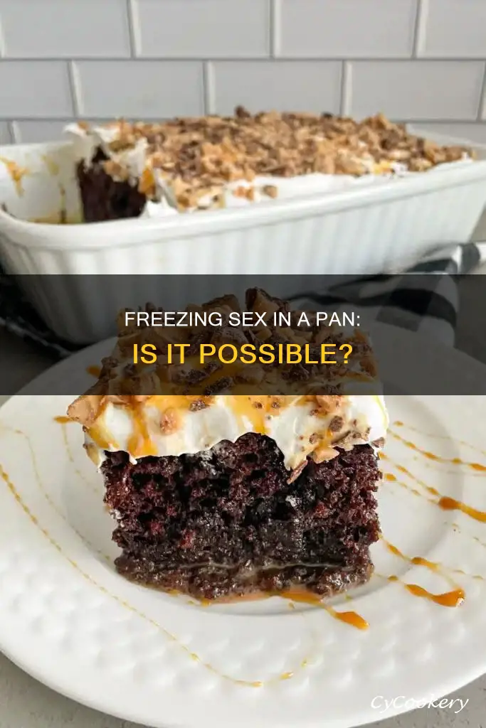 can you freeze sex in a pan