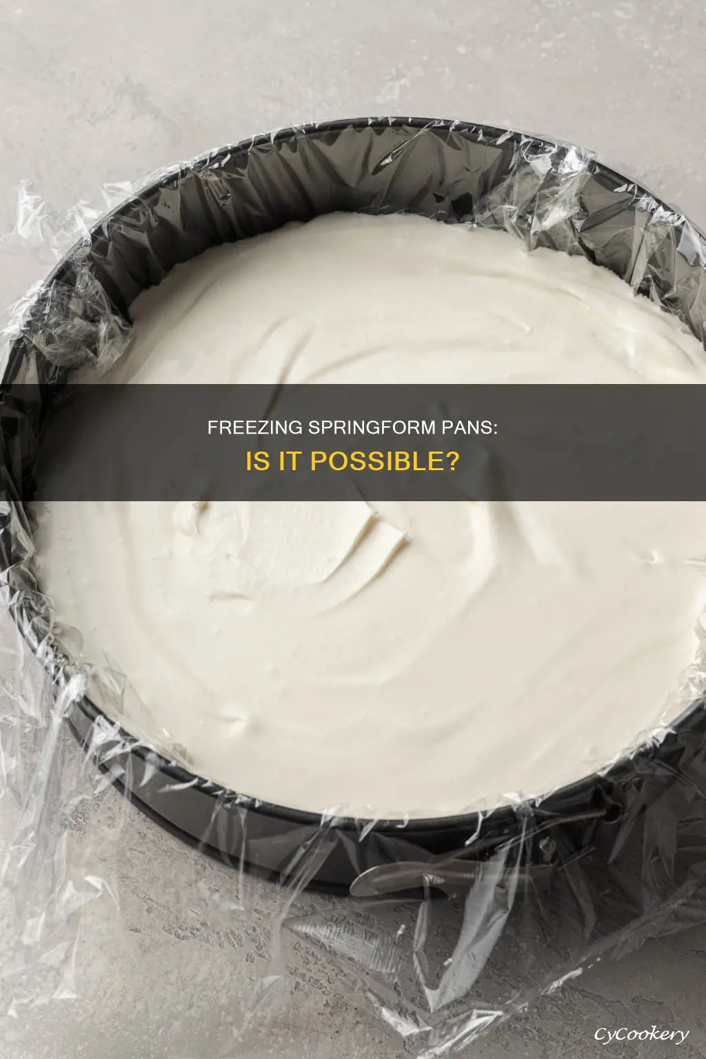 can you freeze springform pan