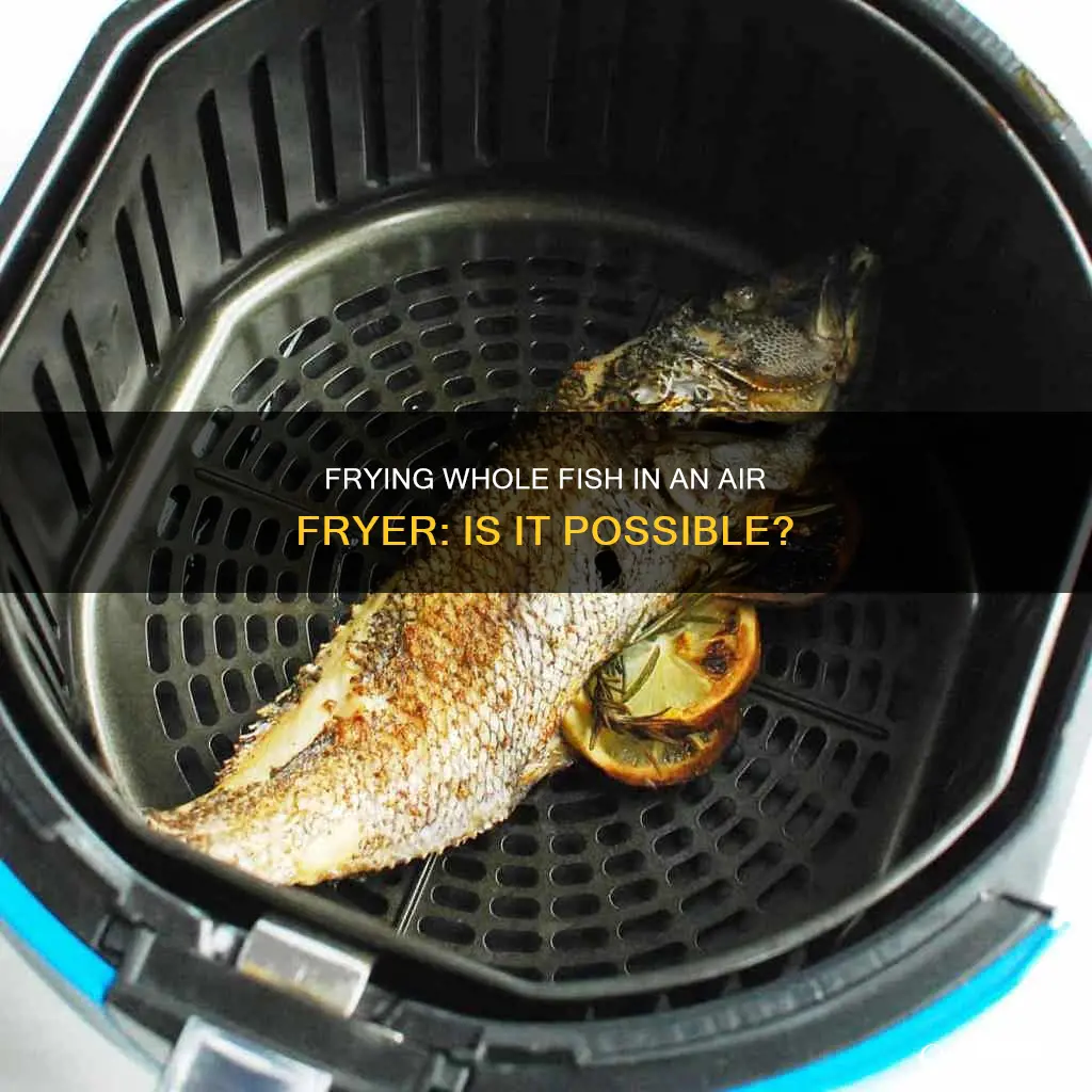 can you fry a whole fish in an air fryer