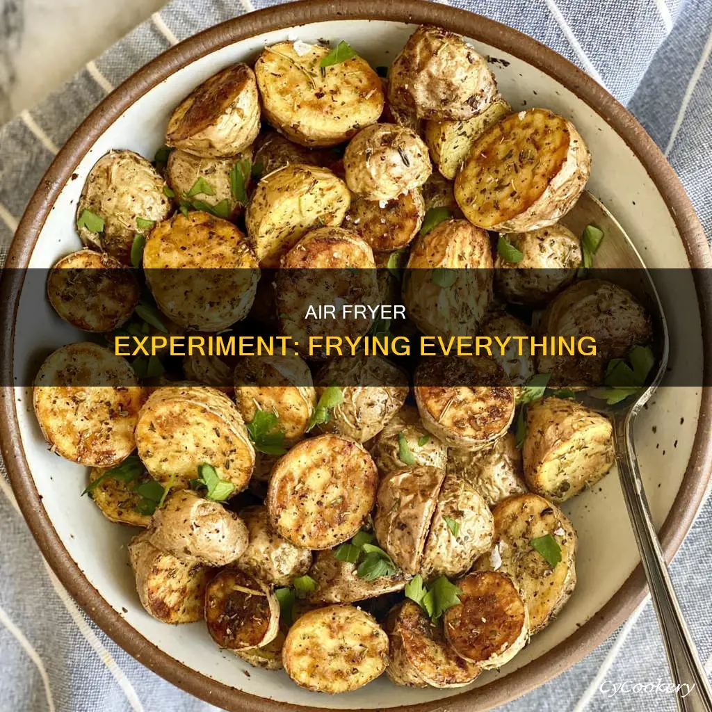 can you fry anything in an air fryer