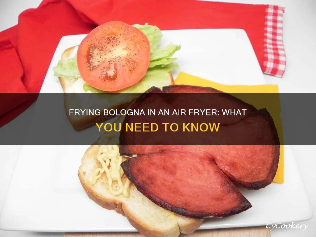 can you fry bologna in air fryer