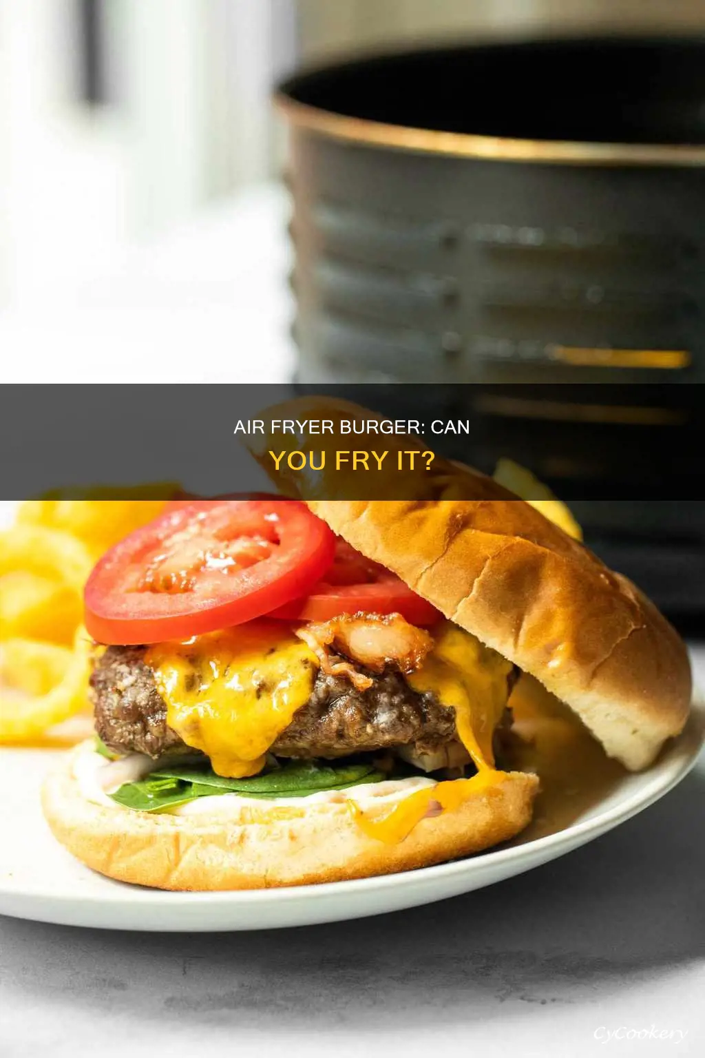 can you fry burger in air fryer