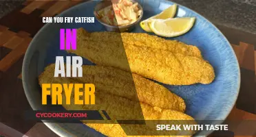 Frying Catfish Perfectly with an Air Fryer