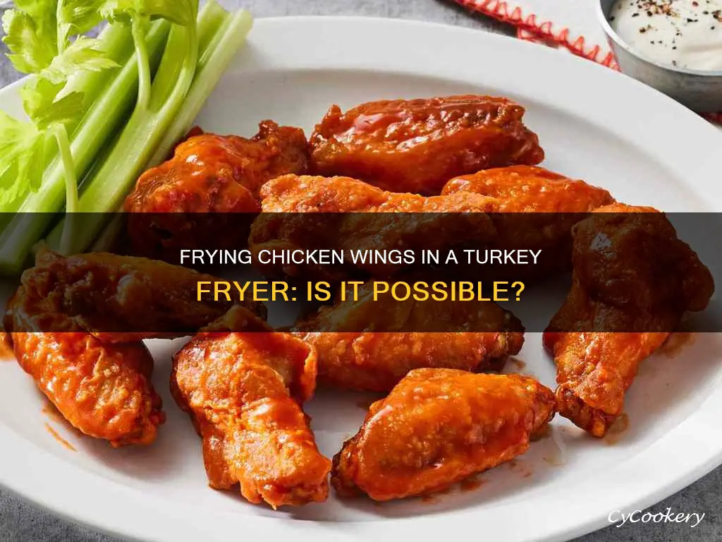 can you fry chicken wings in a turkey fryer