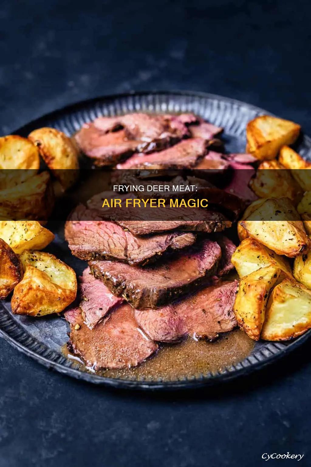 can you fry deer meat in an air fryer