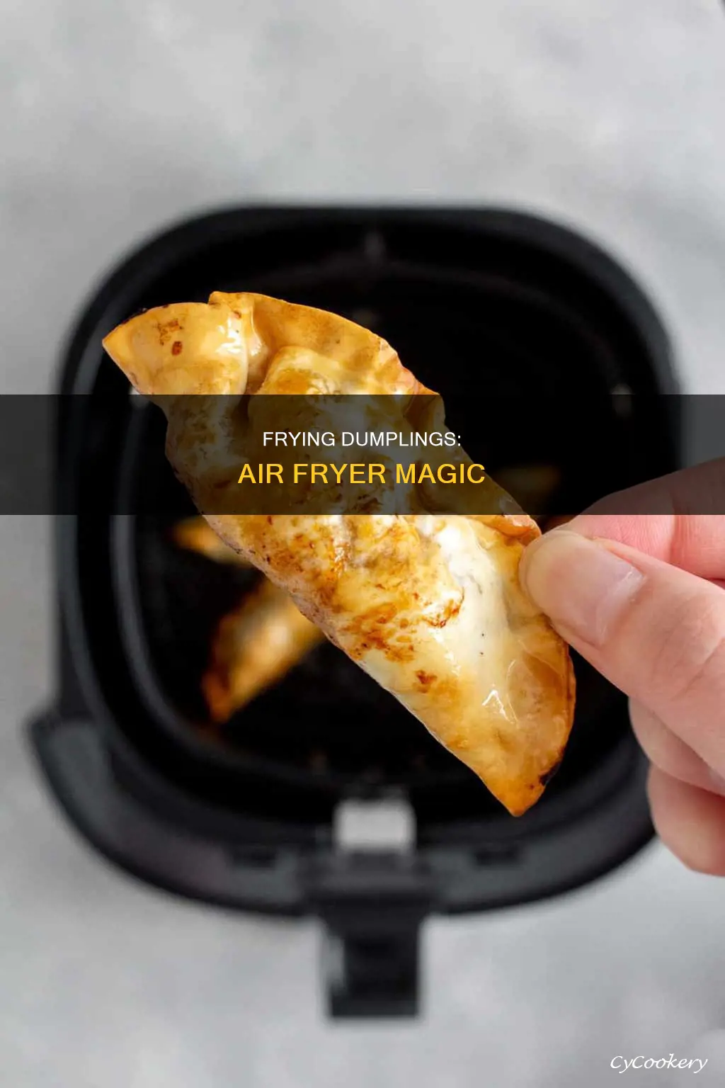 can you fry dumplings in fryer