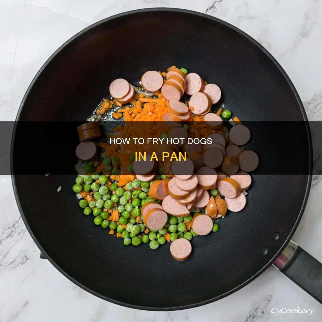 can you fry ho dog on a pan