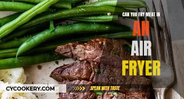 Air Fryer Meat: Is It Possible?