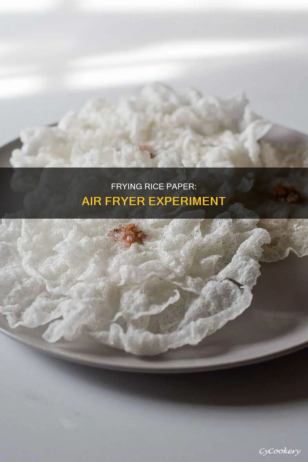 can you fry rice paper in air fryer