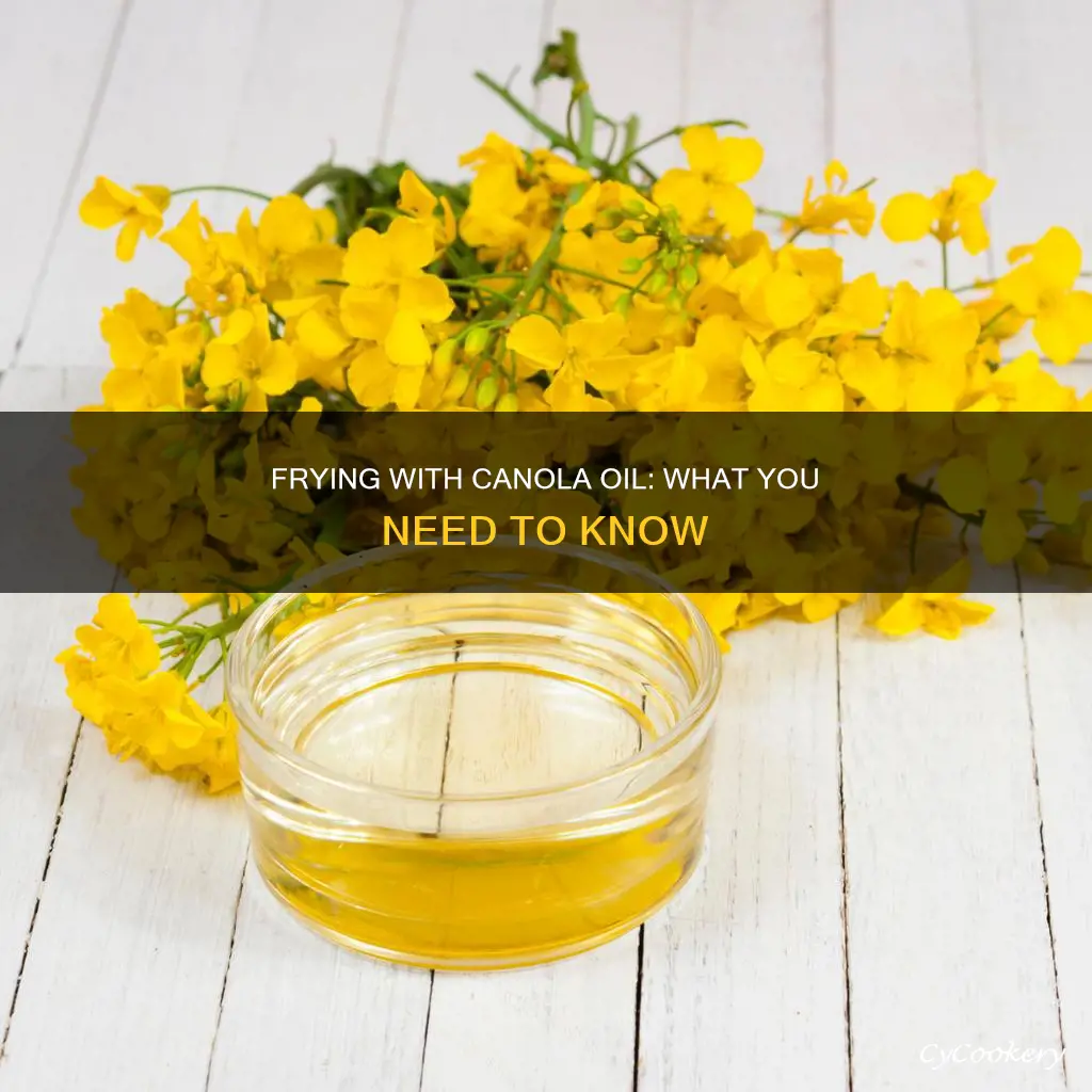 can you fry things with canola oil in a pan