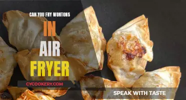 Frying Wontons: Air Fryer vs. Traditional Methods