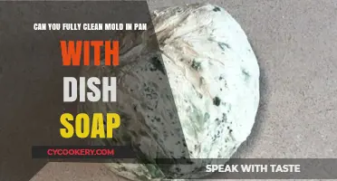 How to Clean Mold with Dish Soap