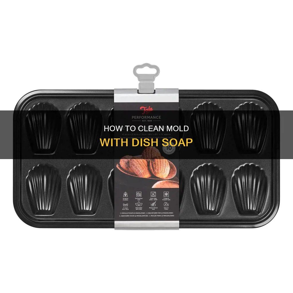 can you fully clean mold in pan with dish soap