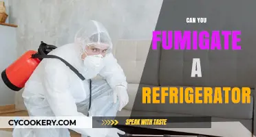Can You Fumigate a Refrigerator? Safe Methods and Alternatives Explained