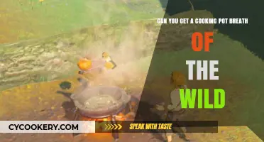 How to Get a Cooking Pot in Breath of the Wild