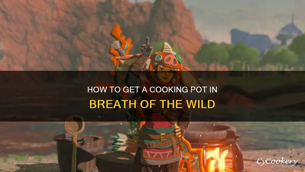 can you get a cooking pot breath of the wild
