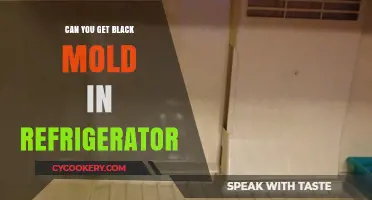 Can Black Mold Grow in Your Refrigerator? Prevention and Removal Tips