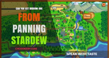 How to Get Iridium Ore from Panning in Stardew Valley