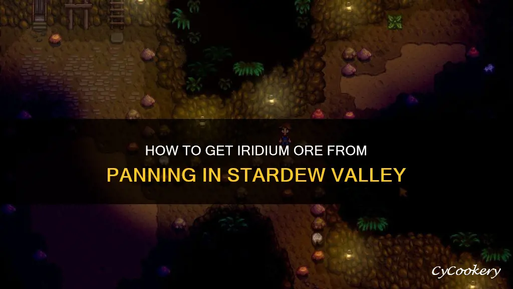 can you get iridium ore from panning stardew