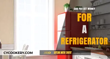 Earn Cash for Your Old Refrigerator: Recycling and Rebate Options