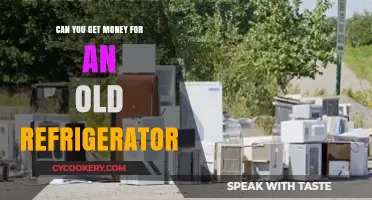 Earn Cash for Your Old Fridge: Recycling and Rebate Options