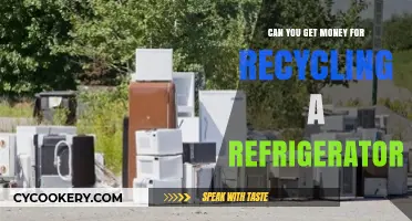 Earn Cash by Recycling Your Old Refrigerator: A Green Guide