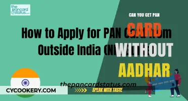 How to Get a PAN Card Without an Aadhaar Card