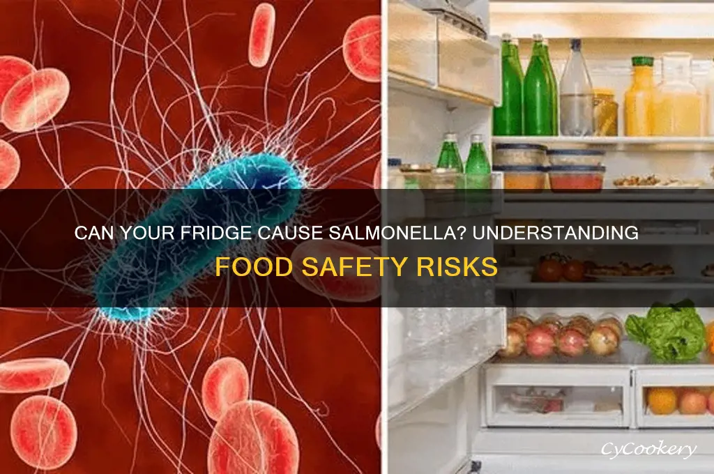 can you get salmonella from refrigerator