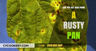 Rusty Pans: Are They Making You Sick?