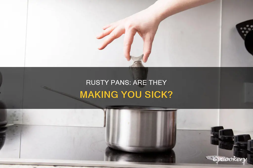 can you get sick from a rusty pan