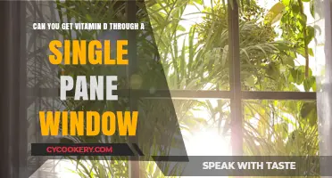 Sunlight and Vitamin D: Window Friends?