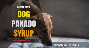 Panado Syrup for Dogs: Safe or Not?