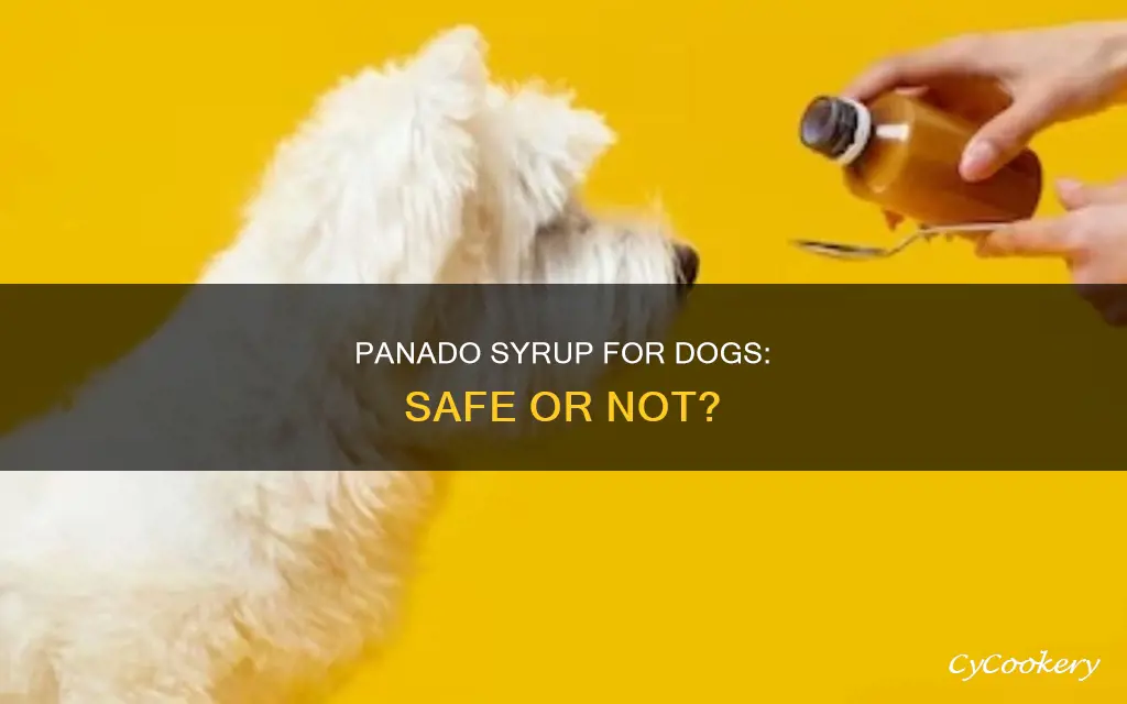 can you give a dog panado syrup